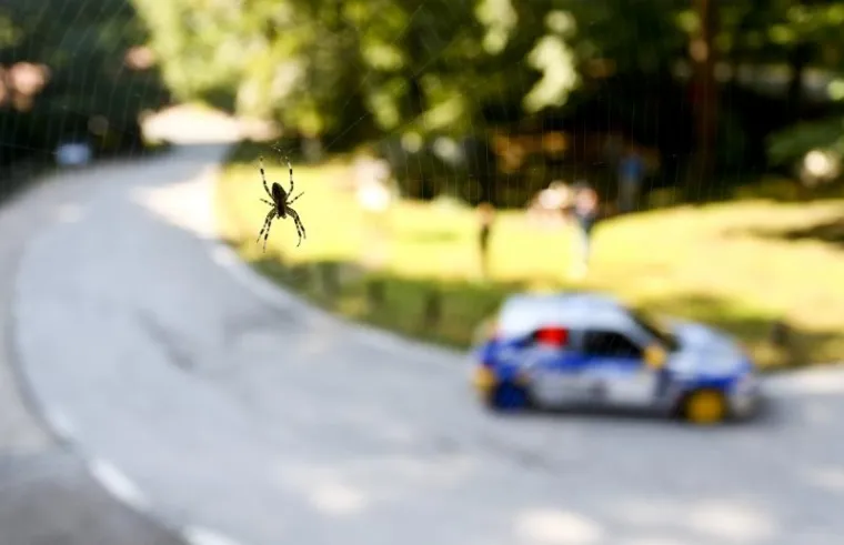 Na Sljemenskoj cesti je održana utrka 41. INA Delta Rallya, najstarijeg automobilističkog natjecanja u Hrvatskoj