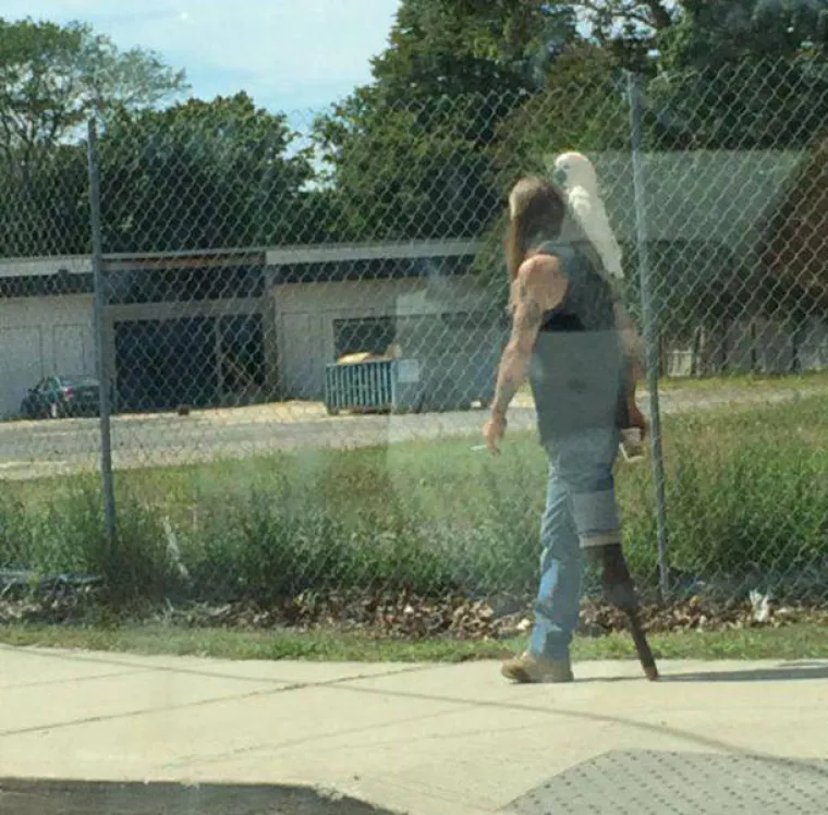 Svijet je stvarno prepun prekrasnih prizora, samo treba znati kamo gledati