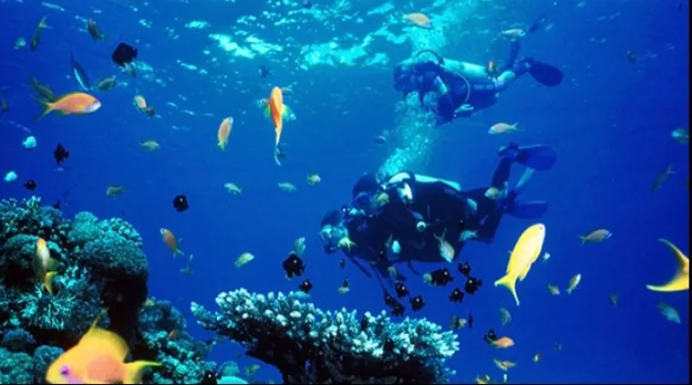 5. More je zagađeno.