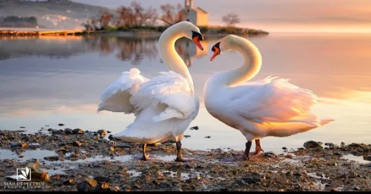 12. Nema romantičnih mjesta.