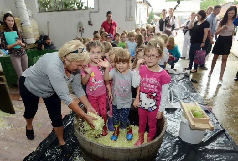 Vrtićki klinci prionuli na posao i gazili varaždinsko zelje