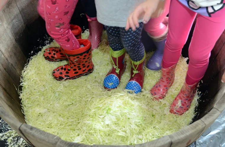 Vrtićki klinci prionuli na posao i gazili varaždinsko zelje