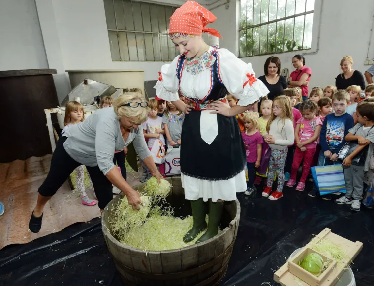 Vrtićki klinci prionuli na posao i gazili varaždinsko zelje