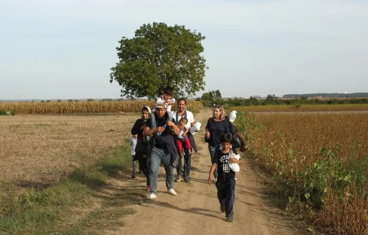 Hrvatska policija u polju čeka sirijske izbjeglice te ih kombijima prevozi u policijsku postaju Tovarnik. Ondje bivaju registrirani te ih se prevozi dalje, u prihvatni centar Ježevo.