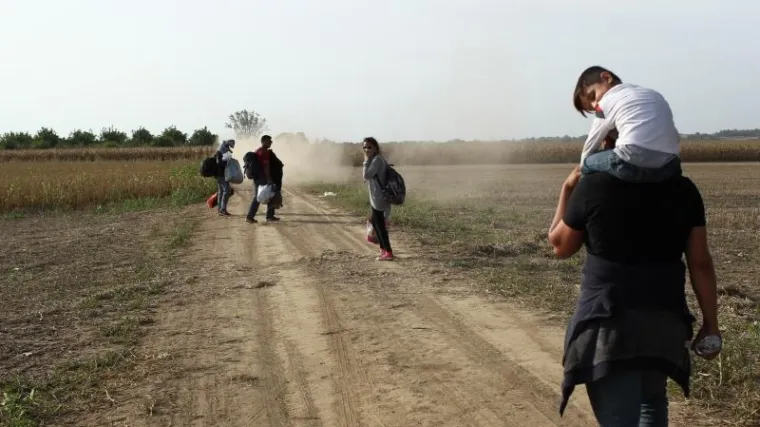 Hrvatska policija u polju čeka sirijske izbjeglice te ih kombijima prevozi u policijsku postaju Tovarnik. Ondje bivaju registrirani te ih se prevozi dalje, u prihvatni centar Ježevo.