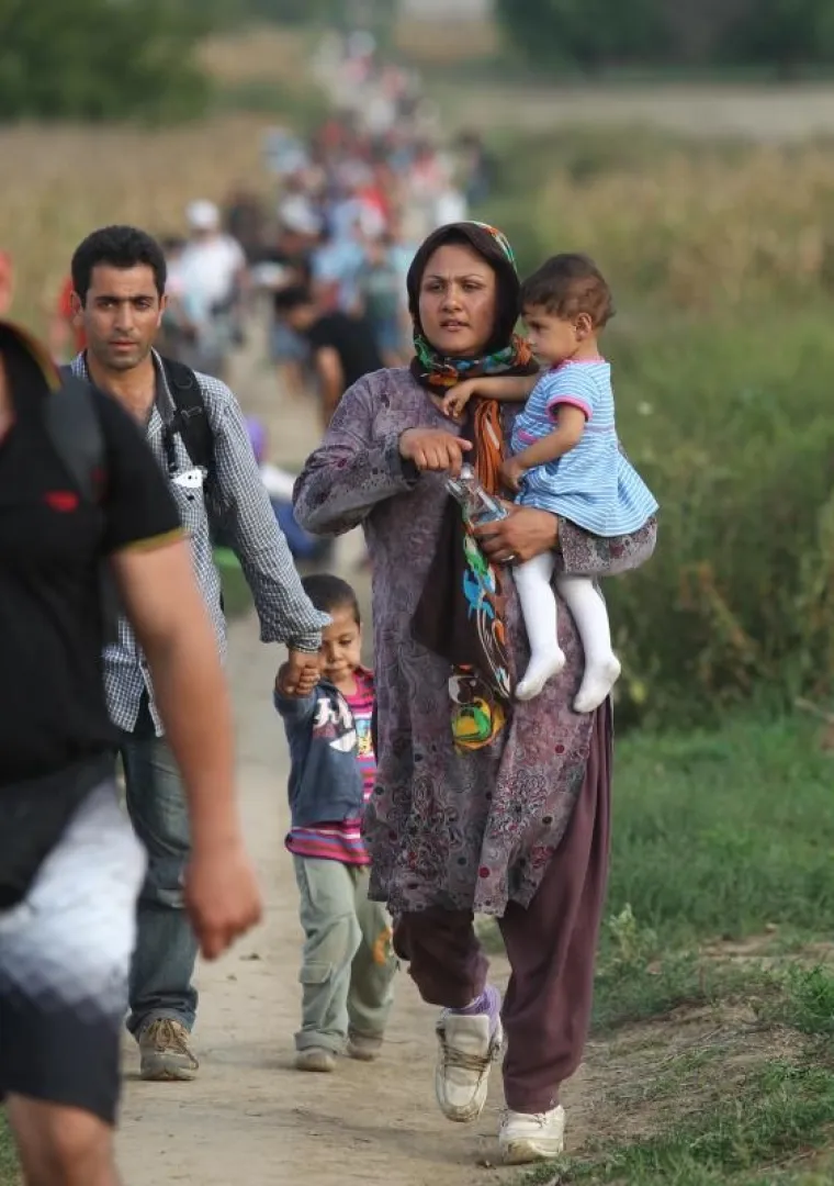 Hrvatska policija u polju čeka sirijske izbjeglice te ih kombijima prevozi u policijsku postaju Tovarnik. Ondje bivaju registrirani te ih se prevozi dalje, u prihvatni centar Ježevo.