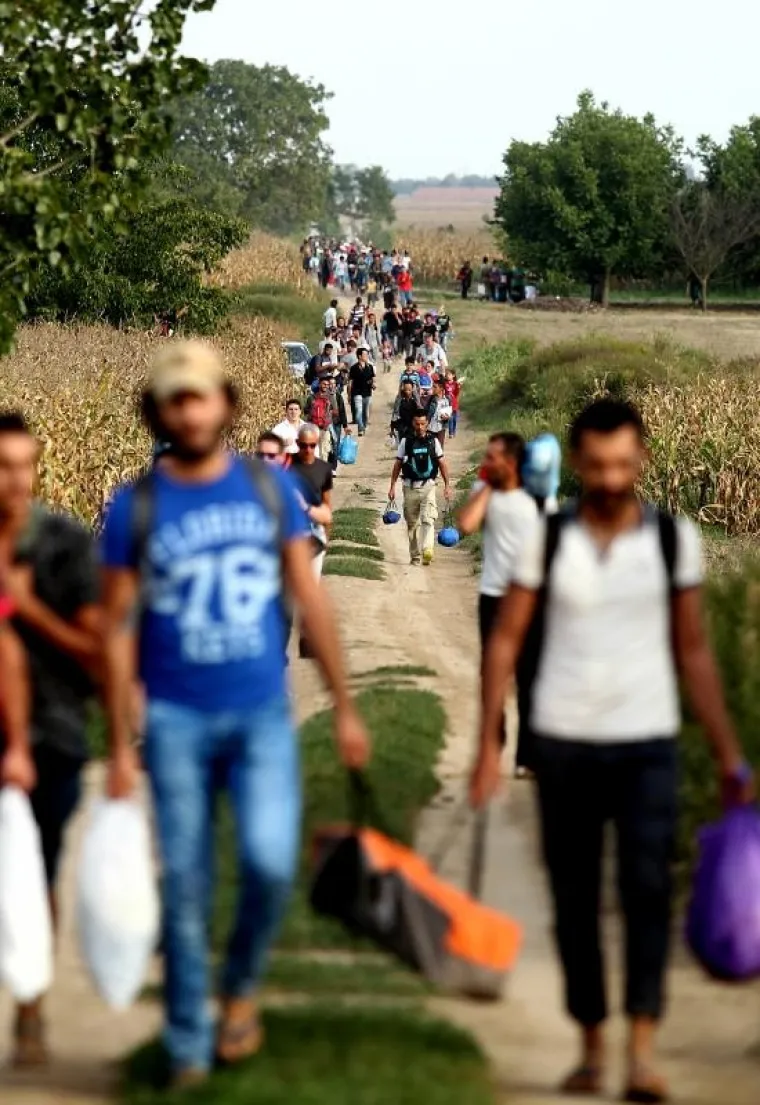 Hrvatska policija u polju čeka sirijske izbjeglice te ih kombijima prevozi u policijsku postaju Tovarnik. Ondje bivaju registrirani te ih se prevozi dalje, u prihvatni centar Ježevo.