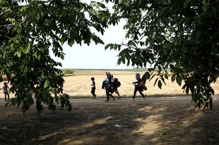 Hrvatska policija u polju čeka sirijske izbjeglice te ih kombijima prevozi u policijsku postaju Tovarnik. Ondje bivaju registrirani te ih se prevozi dalje, u prihvatni centar Ježevo.