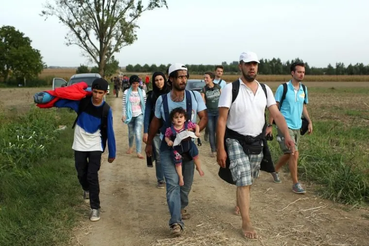 Hrvatska policija u polju čeka sirijske izbjeglice te ih kombijima prevozi u policijsku postaju Tovarnik. Ondje bivaju registrirani te ih se prevozi dalje, u prihvatni centar Ježevo.