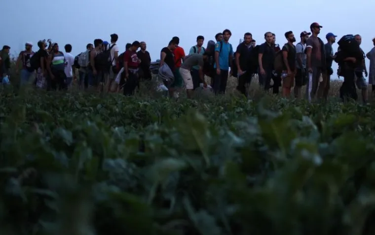 Izbjeglice cijeli dan ilegalno prelaze granicu RH kod Tovarnika. Iako je pao mrak ljudi i dalje po mraku kroz polje ulaze u Hrvatsku. Hrvatska policija čeka ih u polju, te policijskim kombijima prevozi u policijsku postaju Tovarnik.