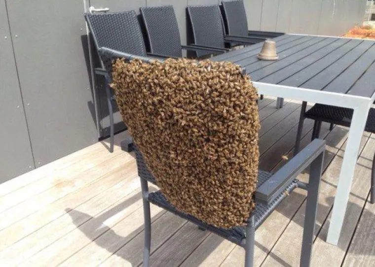 Strah ima mnogo lica, provjerite kolika ste zapravo kukavica