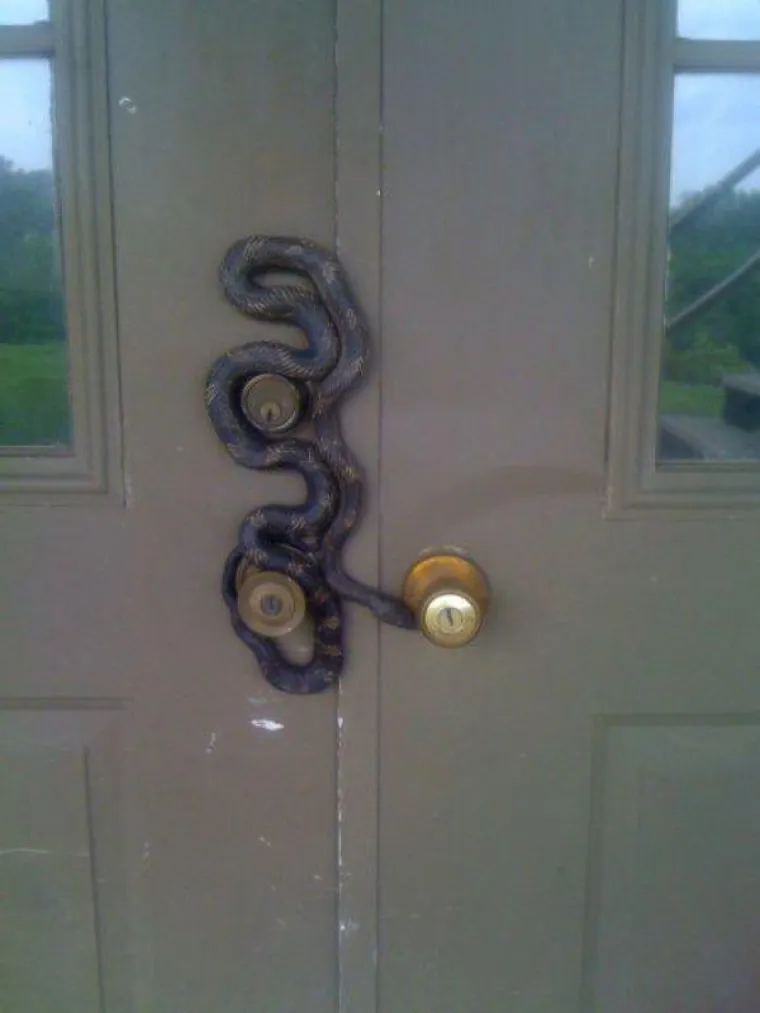 Strah ima mnogo lica, provjerite kolika ste zapravo kukavica