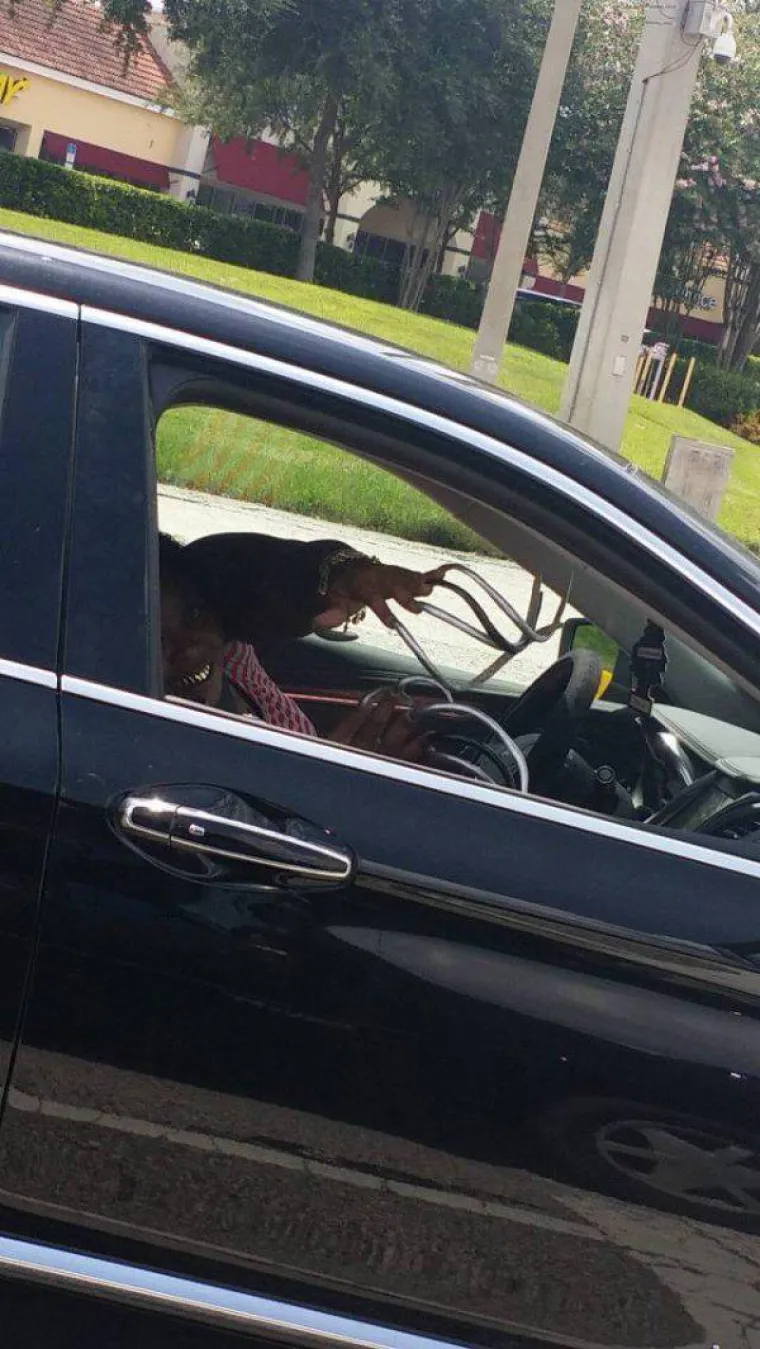 Strah ima mnogo lica, provjerite kolika ste zapravo kukavica