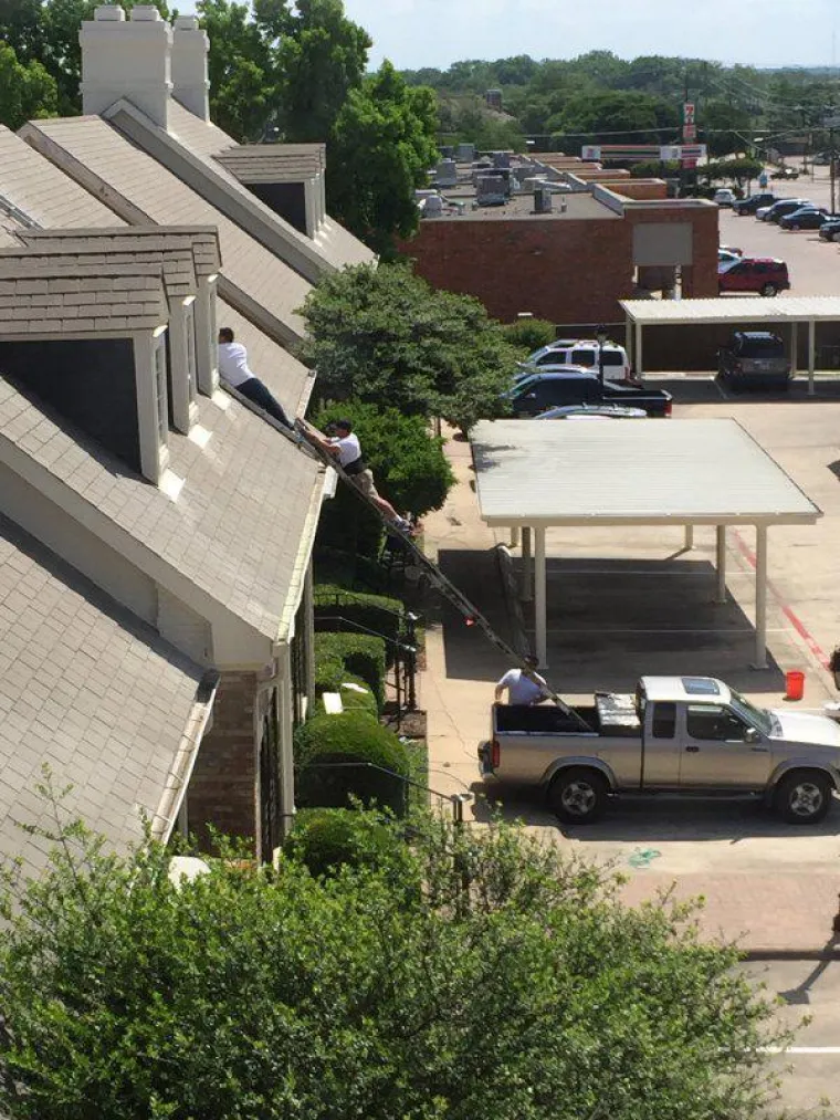 Da opstanak vrste ovisi o njima, već bismo davno izumrli