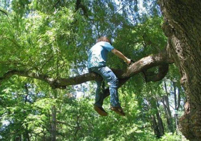 Da opstanak vrste ovisi o njima, već bismo davno izumrli