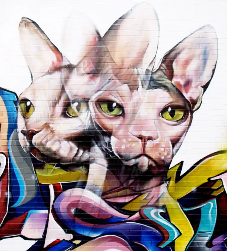 Ne, grafiti nisu ono &scaron;to vam vandali &scaron;araju po fasadi. OVO su grafiti!