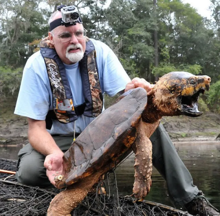 Ne, ovo nisu čudovi&scaron;ta iz noćnih mora, ovo su prave životinje