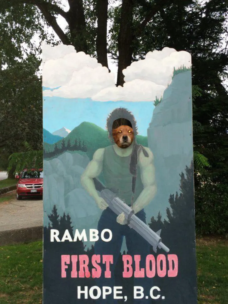 Životinje su najzabavnija stvar na svijetu, unatoč tome &scaron;to mogu biti pomalo glupave