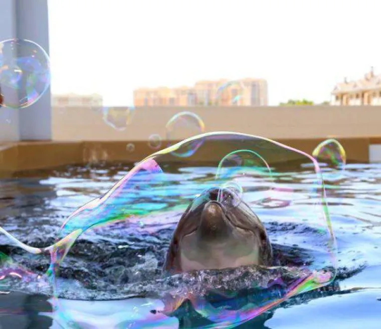 Životinje su najzabavnija stvar na svijetu, unatoč tome &scaron;to mogu biti pomalo glupave