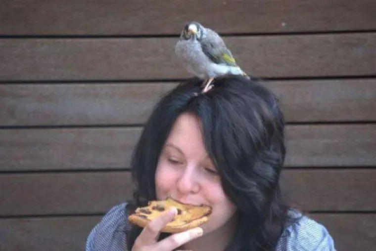 Životinje su najzabavnija stvar na svijetu, unatoč tome &scaron;to mogu biti pomalo glupave