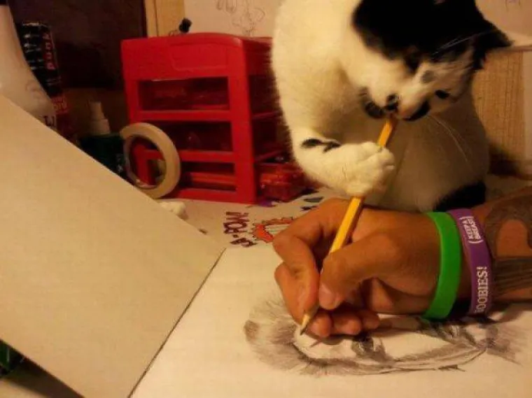 Životinje su najzabavnija stvar na svijetu, unatoč tome &scaron;to mogu biti pomalo glupave