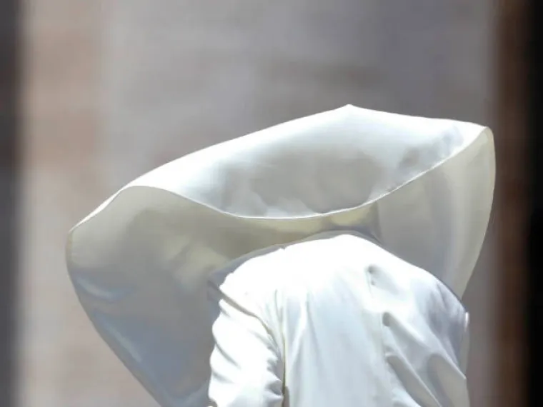 Ove slike papa su krunski dokaz da bog ima smisla za humor ili jednostavno ne postoji