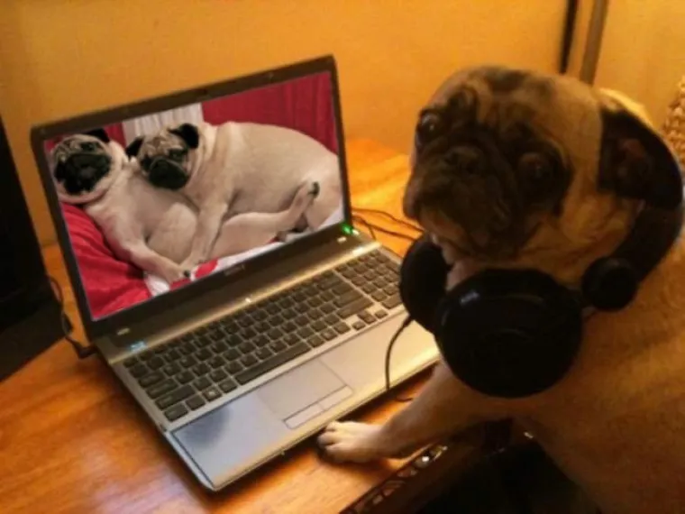 UHVAĆENI NA DJELU! Njihovi izrazi srama govore tisuću riječi