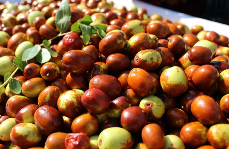 Tržnice su prepune voća i povrća, koje samo čeka da ga netko pojede!