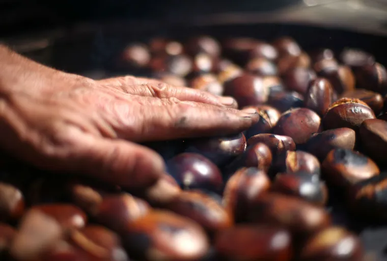 Tržnice su prepune voća i povrća, koje samo čeka da ga netko pojede!