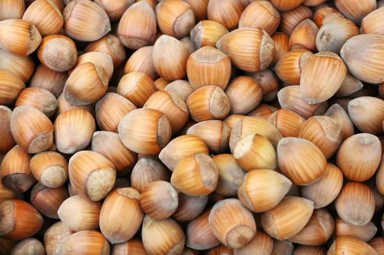 Tržnice su prepune voća i povrća, koje samo čeka da ga netko pojede!