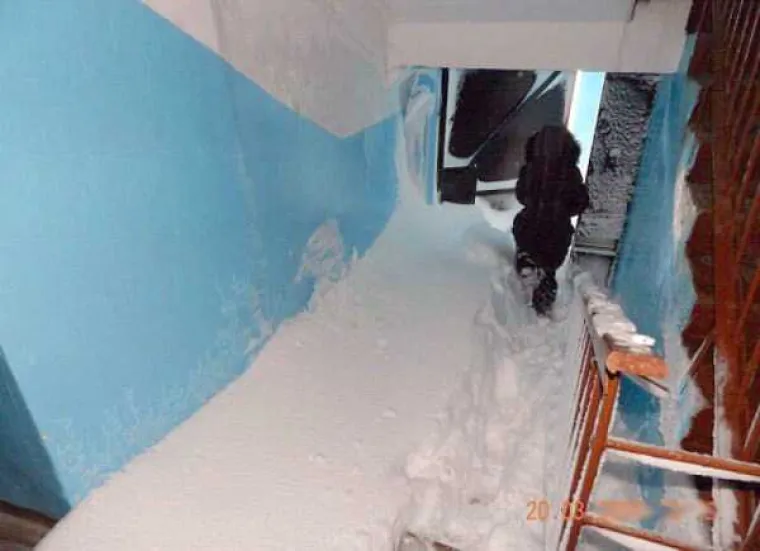 NOVA DOZA RUSIJE: Pogledajte kako gledaju tekme i druge bizarne prizore iz svakodnevice