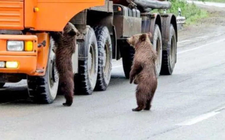 NOVA DOZA RUSIJE: Pogledajte kako gledaju tekme i druge bizarne prizore iz svakodnevice