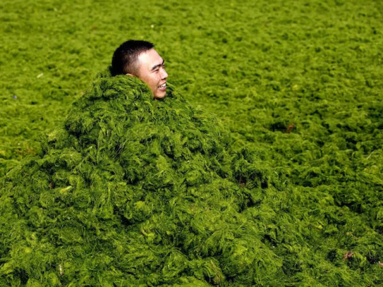 ZAGONETKA ZA NAJODVAŽNIJE: Halo Azija, što se to događa kod vas?!