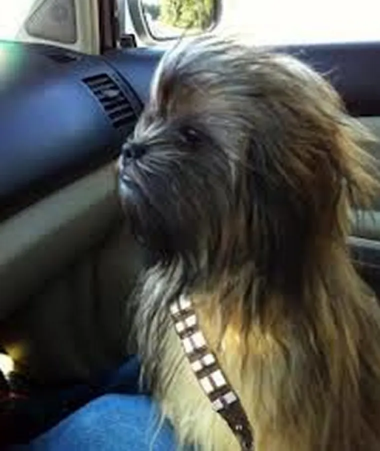 Google kaže da su ovo najveći slikovni epovi na svijetu, slažete li se?