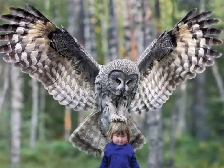 Curica postala novi omiljeni mrgud interneta, njezin izraz lica govori sve