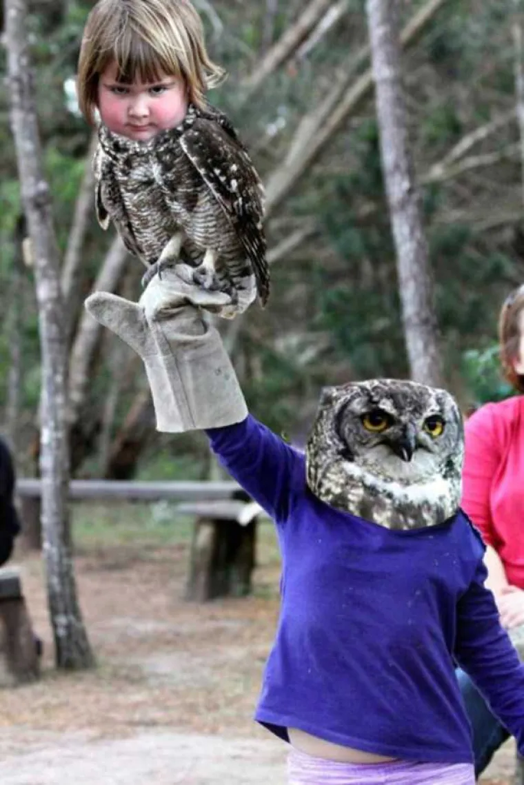Curica postala novi omiljeni mrgud interneta, njezin izraz lica govori sve