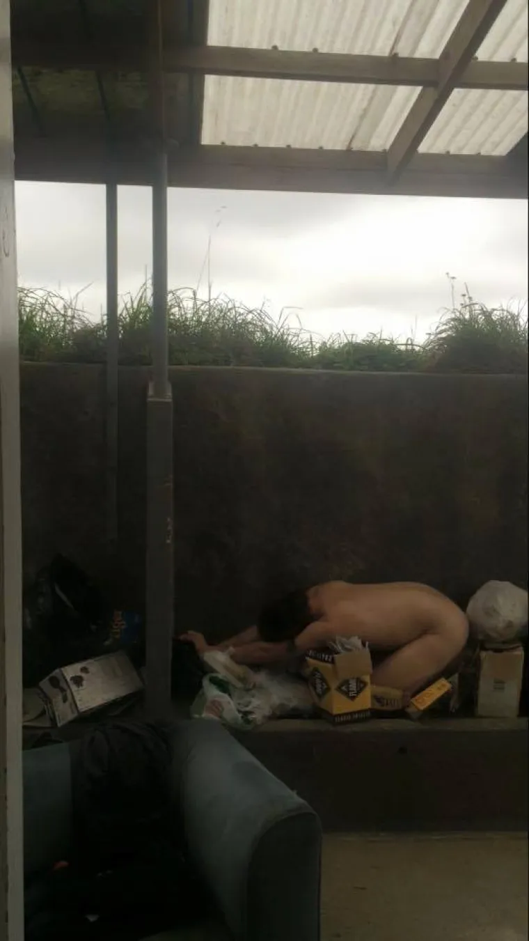 Najnoviji internetski trend je opona&scaron;anje smrznute piletine. Kraj je stvarno blizu...