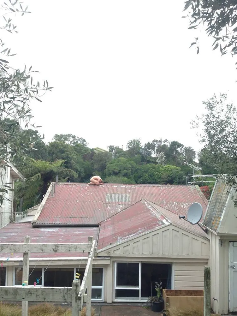 Najnoviji internetski trend je opona&scaron;anje smrznute piletine. Kraj je stvarno blizu...