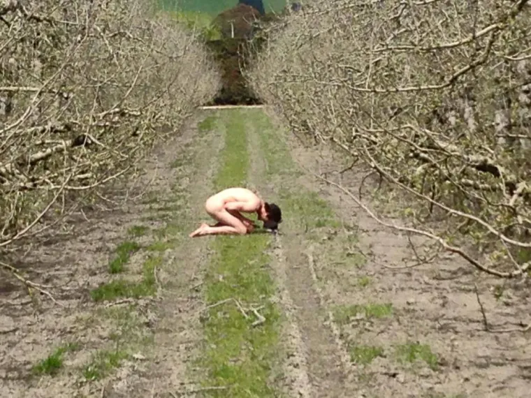 Najnoviji internetski trend je opona&scaron;anje smrznute piletine. Kraj je stvarno blizu...