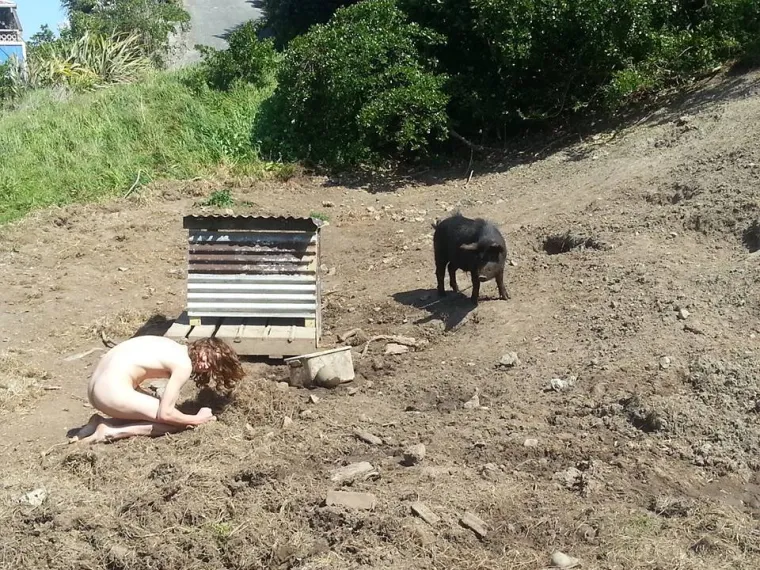 Najnoviji internetski trend je opona&scaron;anje smrznute piletine. Kraj je stvarno blizu...