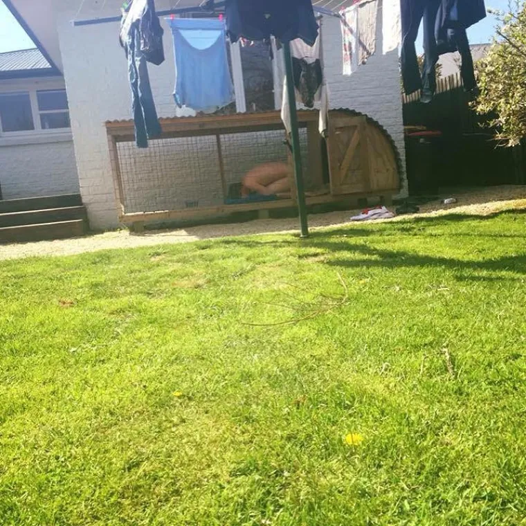 Najnoviji internetski trend je opona&scaron;anje smrznute piletine. Kraj je stvarno blizu...