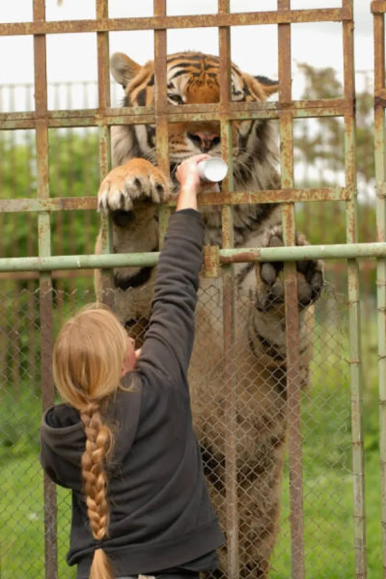Ne, to nisu fotomontaže, to su prave grdosije u životinjskom carstvu!