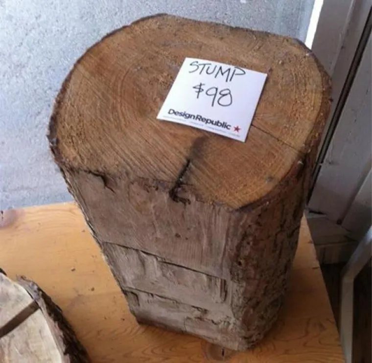 MOZAK BAJ-BAJ: Ako još ne znate zašto se svi smiju hipsterima, vrijeme je da saznate