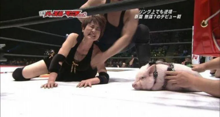 ZEMLJA IZLAZEĆE BIZARNOSTI: Dragi Japan... &Scaron;to reći? Koju poruku poslati?