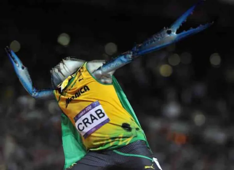 GENIJALNE ILI GLUPE? Ponekad je stvarno te&scaron;ko razvrstati Photoshop montaže