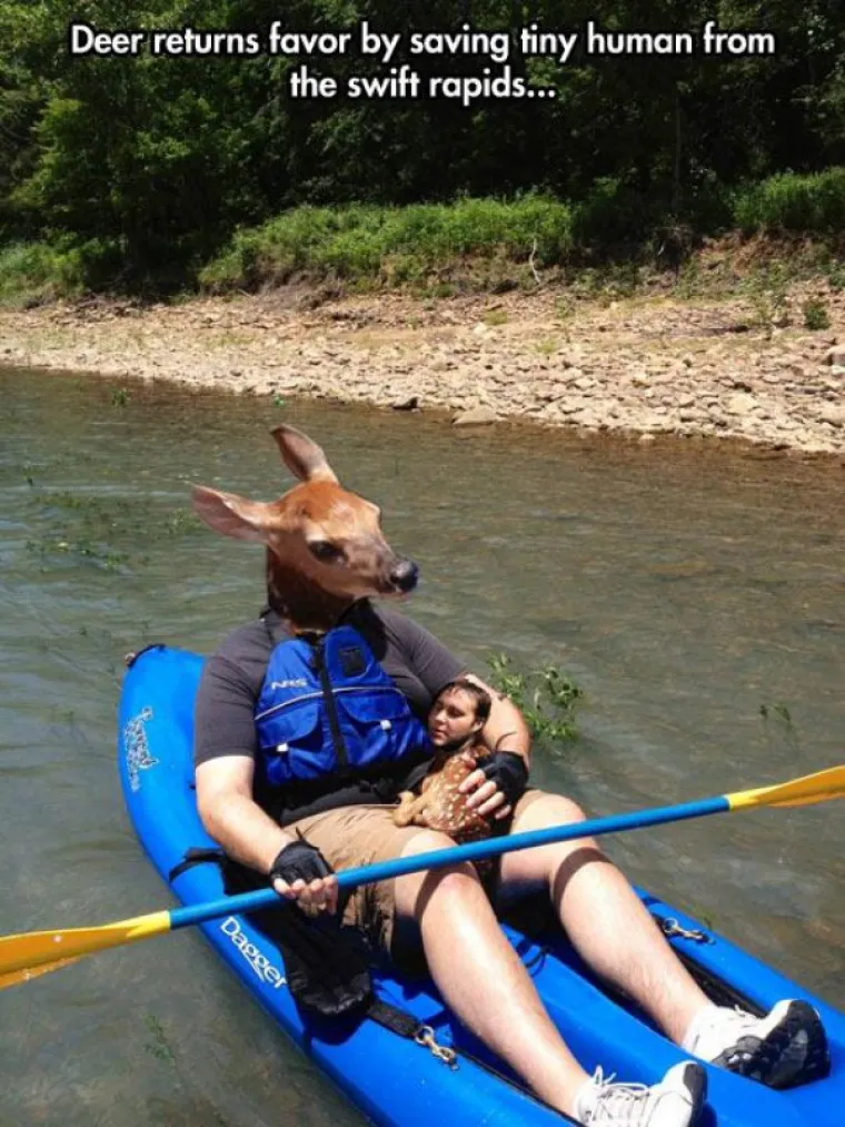 GENIJALNE ILI GLUPE? Ponekad je stvarno te&scaron;ko razvrstati Photoshop montaže