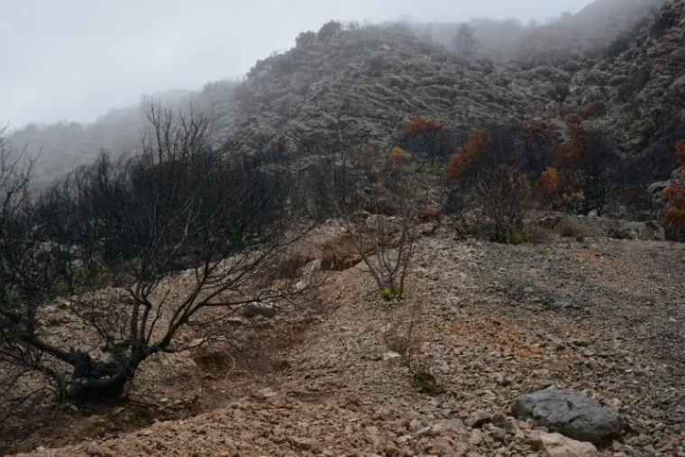 Zbog jakih kiša veliki je odron u noći sa subote na nedjelju zablokirao državnu cestu Ston-Orebić kod Tabora.