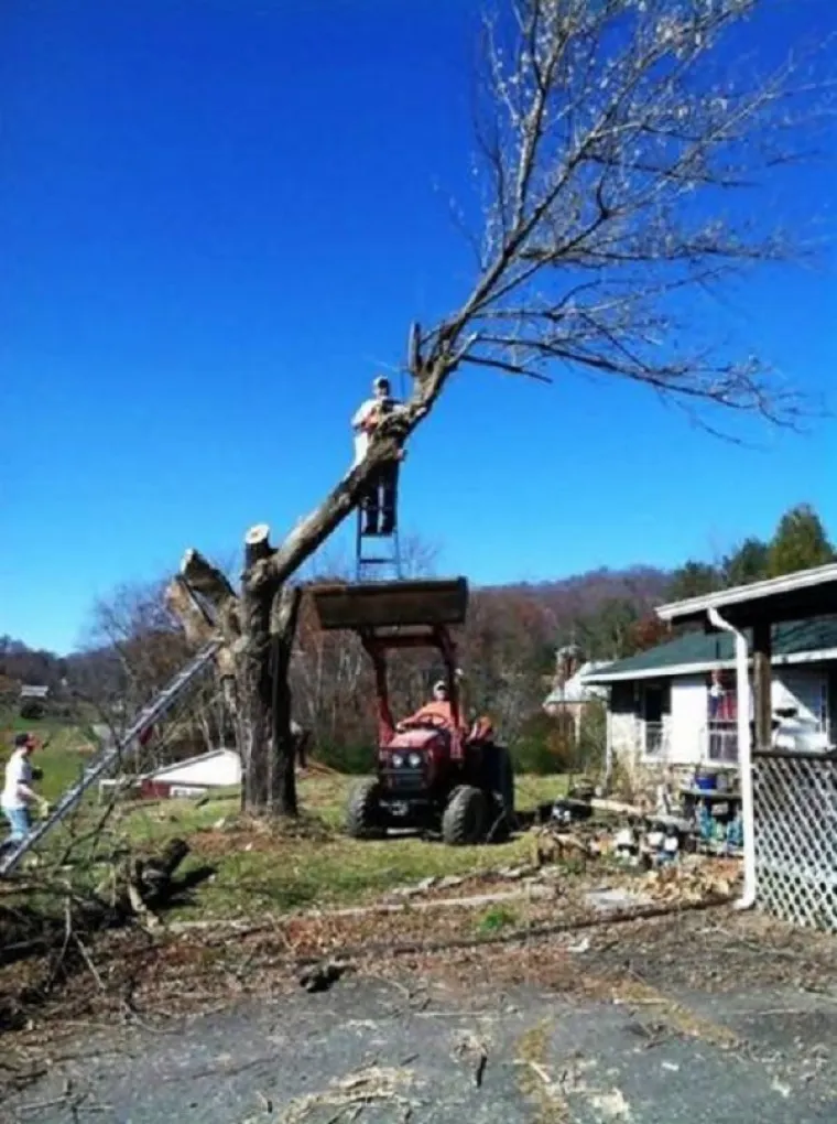 Ne treba ljudima nikakva apokalipsa, sami će se uni&scaron;titi