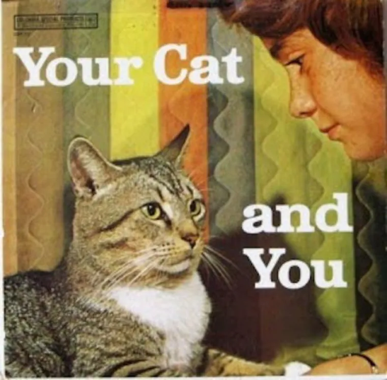 GLAZBA ZA OVO, GLAZBA ZA ONO: Naslovnice nekih albuma stvarno su grozne, ako ne i sramotne