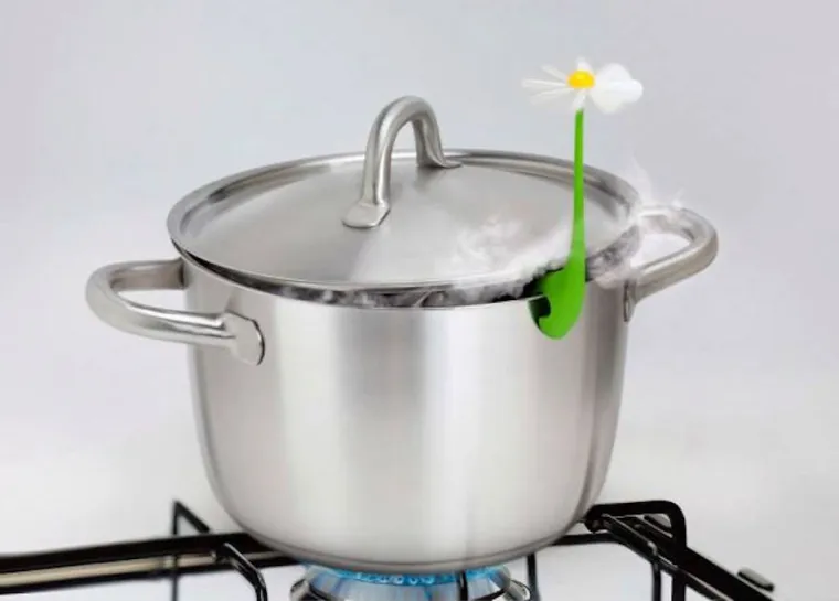 Cvijeće pušta paru iz lonca